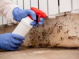 Best Forensic Mold Investigation  in Green Meadows, OH